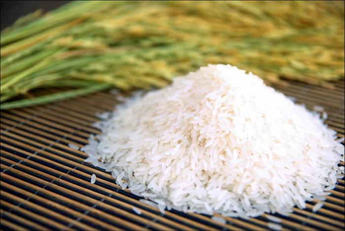 Πεδίο ρυζιού. Τεχνολογία της καλλιέργειας ρυζιού